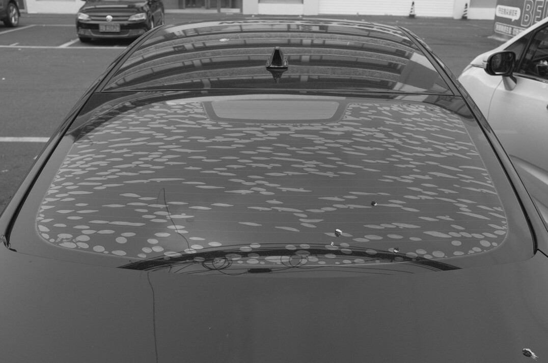 Car roof with peeling clear coat